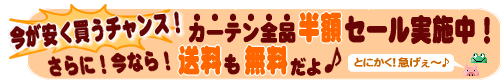 今が安く買うチャンス！カーテン全品半額セール実施中！更に今なら送料も無料だよ♪